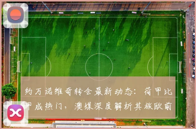 约万诺维奇转会最新动态：荷甲比甲成热门，澳媒深度解析其旅欧前景
