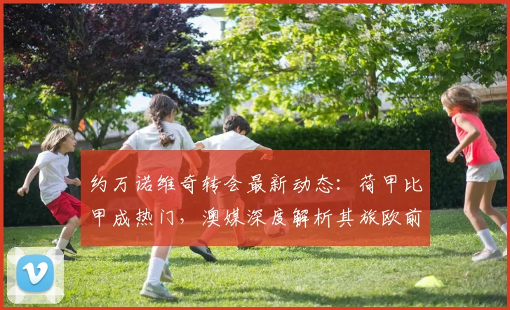 约万诺维奇转会最新动态：荷甲比甲成热门，澳媒深度解析其旅欧前景